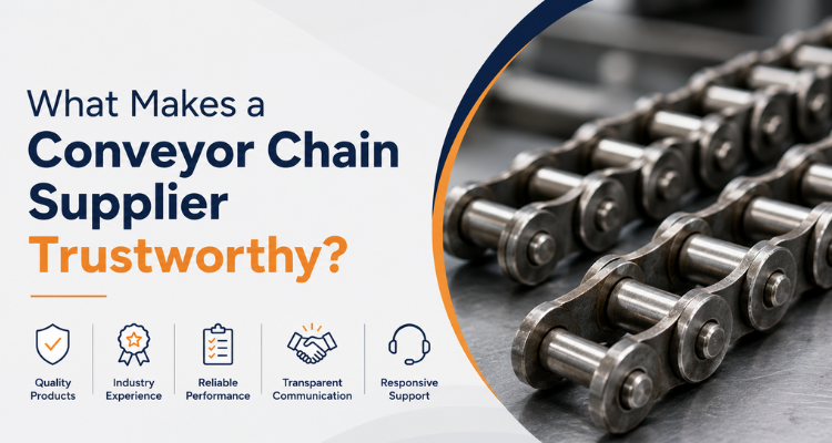 What Makes a Conveyor Chain Supplier Trustworthy?